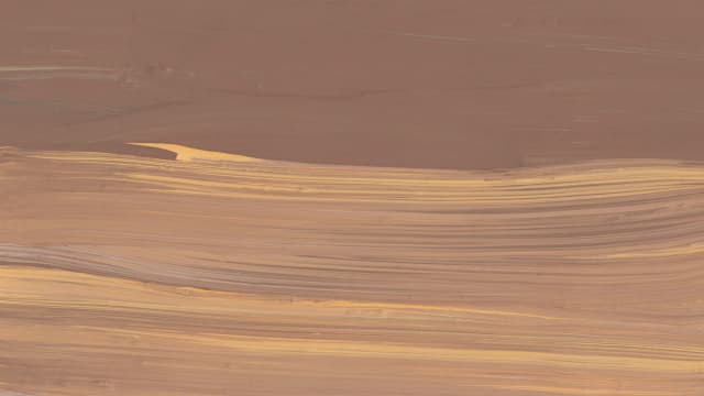 DeviQA Named to the Clutch 1000 List of Top-Rated Business Service Providers for 2025