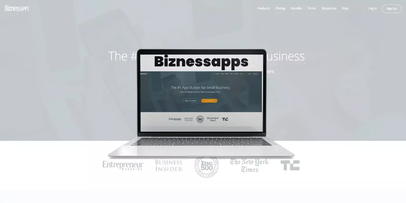 Biznessapps: Mobile & Web testing, Test Documentation design, DevOps, Customer Support, Test Documentation design, etc