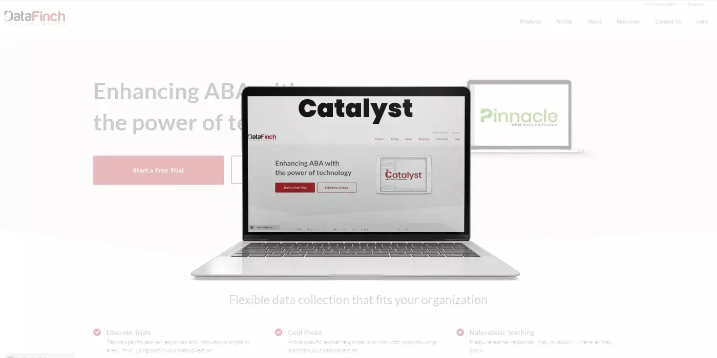 Catalyst: Software testing of application for ABA therapists.