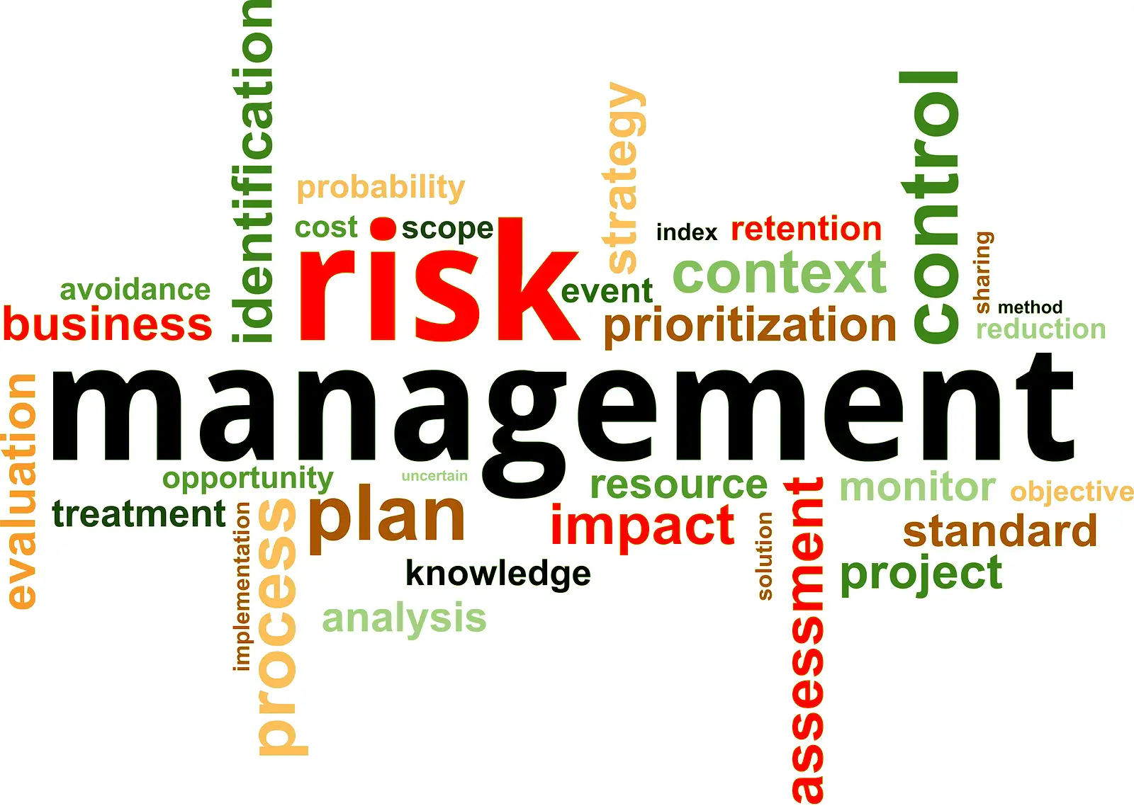 Risk Management Structure