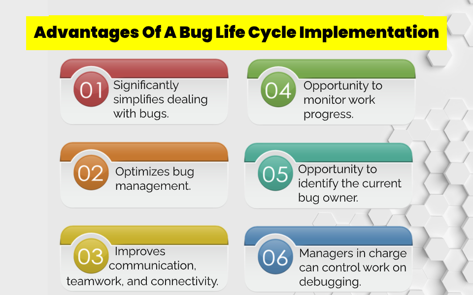Advantages Of A Bug Life Cycle Implementation