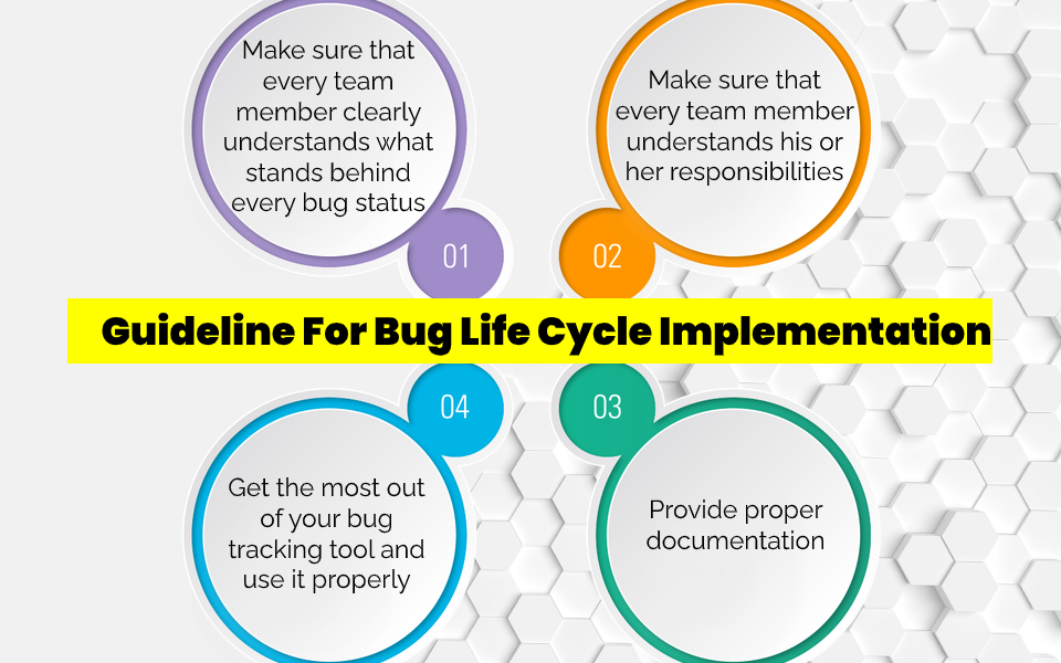 Guideline For Bug Life Cycle Implementation