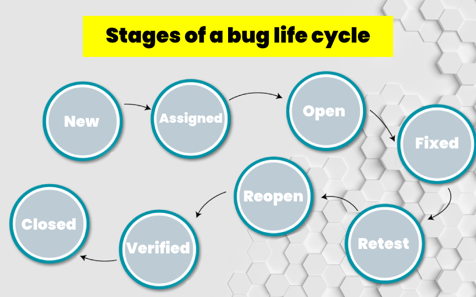 Stages of a Bug Life Cycle